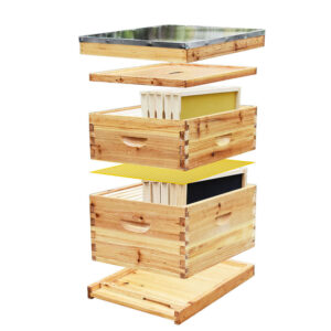 Hive Set Up – The Great Lakes Bee Company