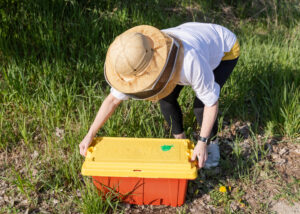 Great Lakes Bee Company 2025 Beekeeper pickup